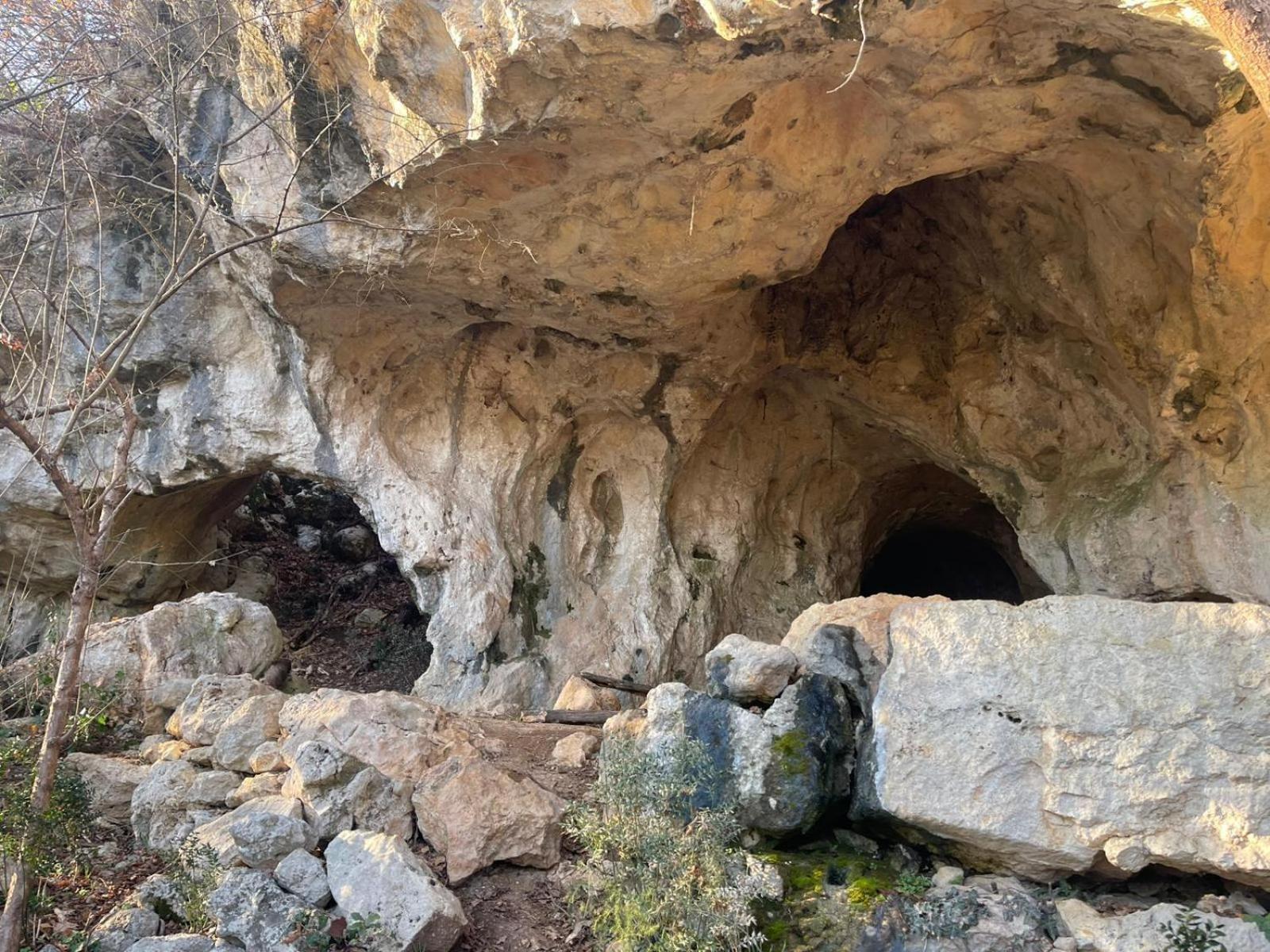 La Torretta - Incantevole Appartamento Nei Colli Berici Nanto Экстерьер фото